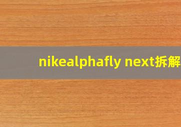 nikealphafly next拆解